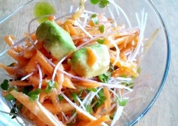 Carrot, Avocado and Sprout Salad