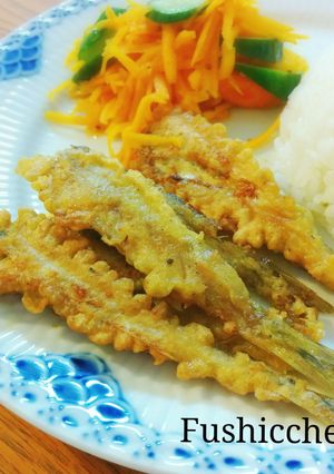 A picture of White Fish Fritter.