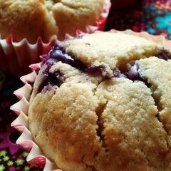 A picture of Blueberry, Cheese and Okara Muffins.