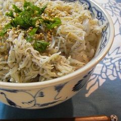 A picture of Shirasu Rice Bowl (Shirasu-don).