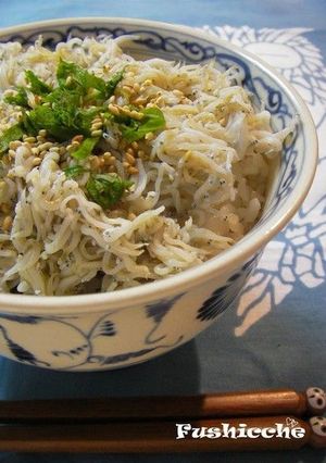 A picture of Shirasu Rice Bowl (Shirasu-don).