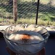 Arroz con leche