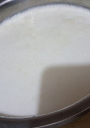 A picture of Homemade dahi.
