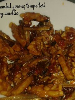 Foto resep Sambal goreng tempe teri
