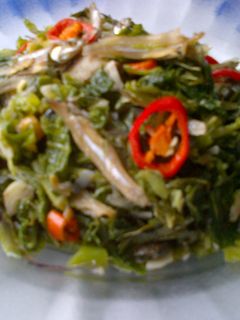Foto resep .: Tumis Daun Pepaya Teri :.