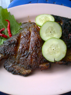Foto resep .: Ikan Bawal Bakar Kecap :.