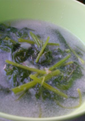 Foto resep .: Bobor Bayam Gurih :.