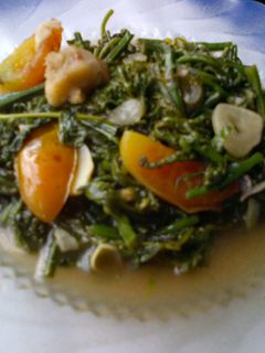 Foto resep .: Tumis Pakis Saus Tiram :.
