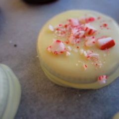 A picture of Peppermint and Chocolate Covered Oreo.