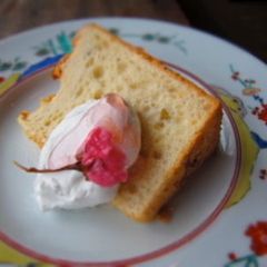A picture of Sakura Chiffon Cake.