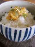 Negi (Leek) Miso