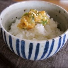 A picture of Negi (Leek) Miso.