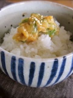 A picture of Negi (Leek) Miso.
