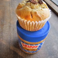 A picture of Peanut Butter and Chocolate Muffins.