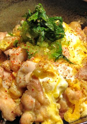 A picture of Chicken and Egg on Rice.