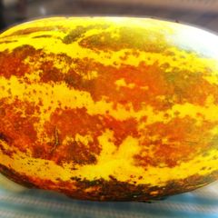 A picture of Lemon Cucumber Chutney.