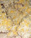 Vitel Tone