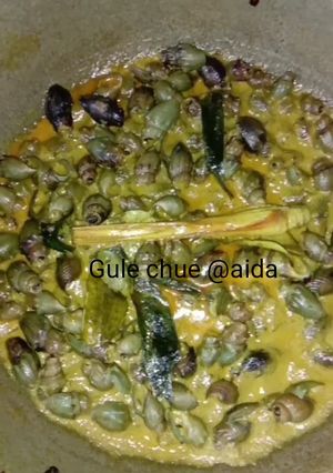 Foto resep Gule siput beduri (gule chue)