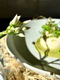 Spring burrata salad
