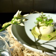 A picture of Spring burrata salad.