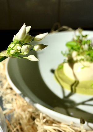 A picture of Spring burrata salad.