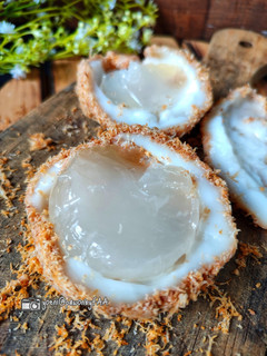 Foto resep Mochi kelapa (miniatur kelapa)