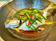 Hình ảnh của ca chim