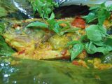 Ikan Bawal Bakar Belimbing Wuluh