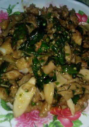 รูปของ กระเพาเอ็นเป็ดเอ็นไก่(พะโล้)