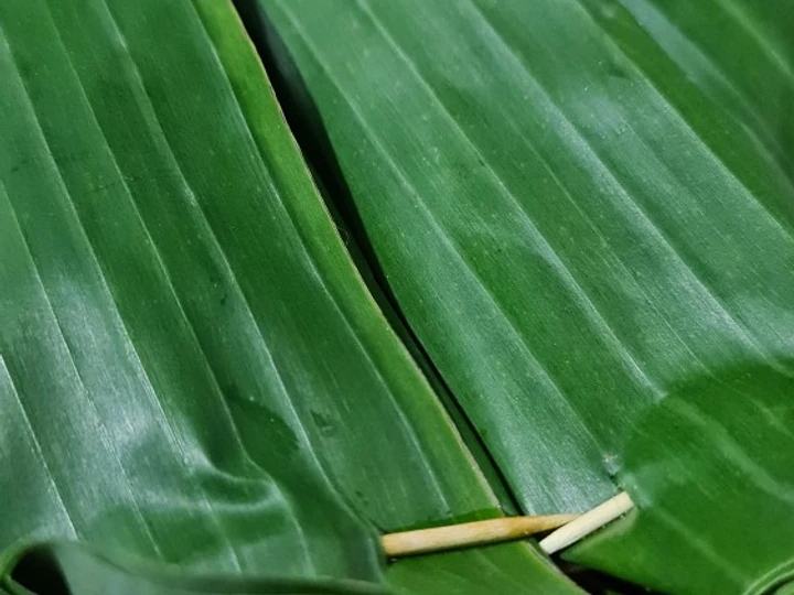 Cara Mudah Membikin Resep  Pepes tongkol mangga muda yang Sempurna, Enak