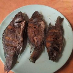 A picture of Fried fish.