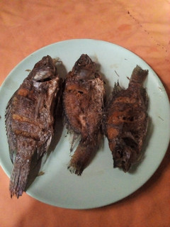 A picture of Fried fish.