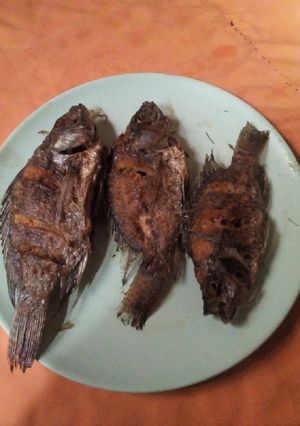 A picture of Fried fish.