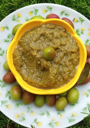 करवंद(रानमेवा)ची चटणी (karvand chi chutney recipe in marathi) रेसिपी चे मुख्य फोटो 