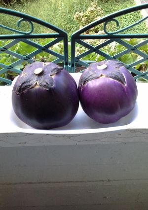 Foto di LA MELANZANA La scelta per le vostre ricette e gli errori da evitare