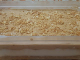 Dalgona dessert box