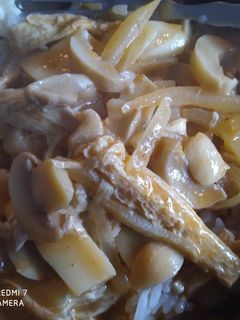 Una foto de Strogonoff vegano