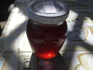 Dandelion honey