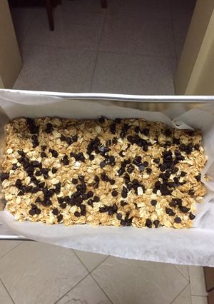 A picture of Oatmeal protein bar treats.