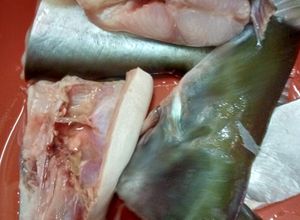 Gambar Patin Masak Tempoyak