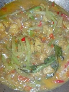 Foto resep Lodeh Tahu Sayur Manisa (Labu Siam)