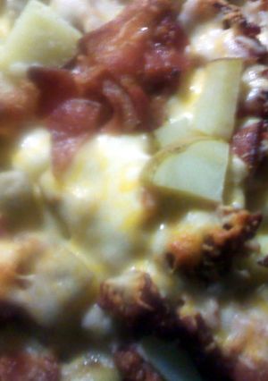 A picture of taco chessy bacon poatos.