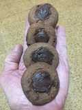 Pepas puro chocolate