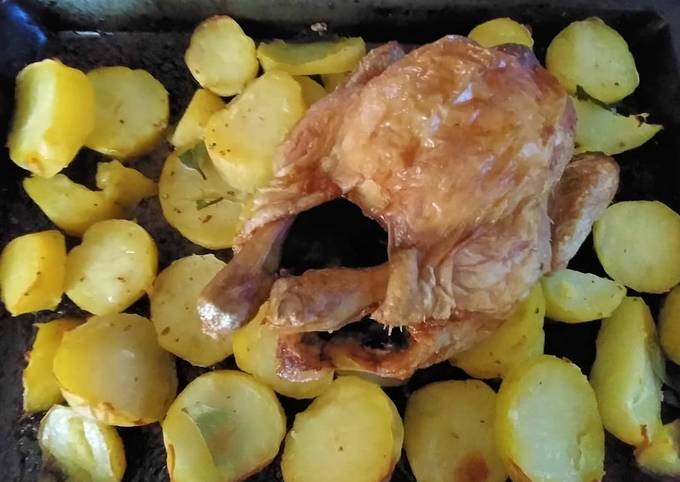 Pollo 🐔 al forno speziato