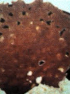 A picture of lacy cookies.
