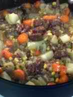 A picture of Major's venison stew.