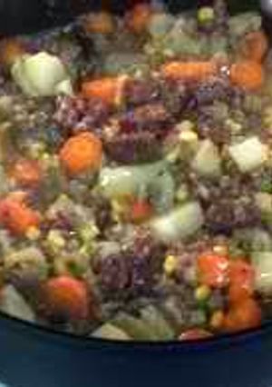 A picture of Major's venison stew.
