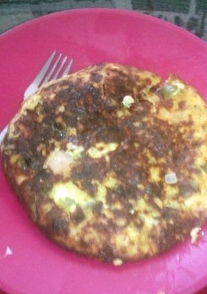 A picture of Turkey Omelet.
