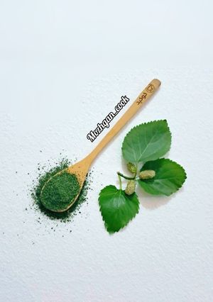 عکسی از دستور پودر برگ توت