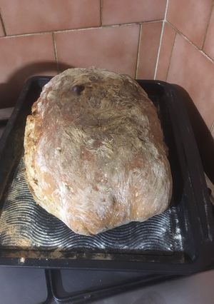 A picture of Homemade bread.